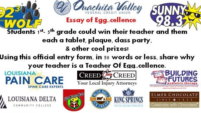 Essay Of Egg..cellence